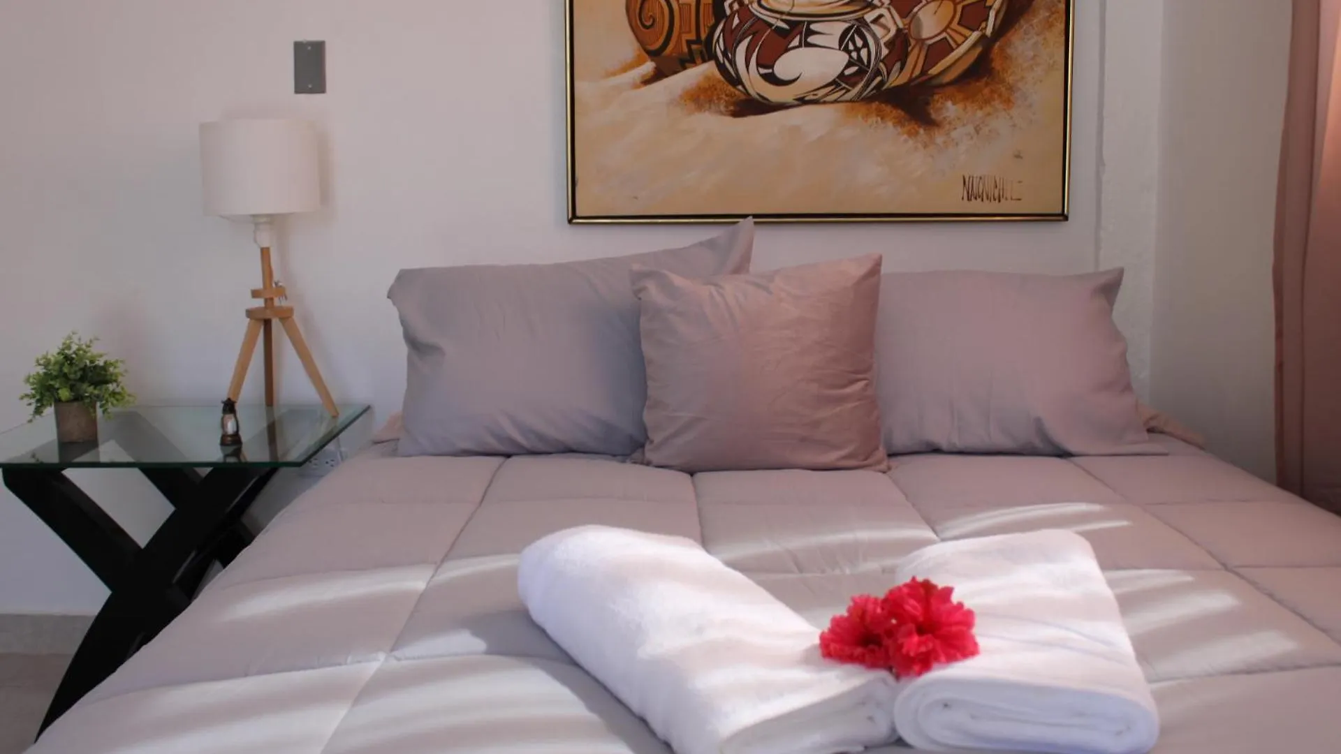 San Juan Apartments kontakt